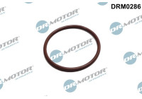 Junta, bomba de combustible