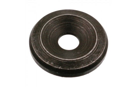 Anillo de sellado 15924 FEBI