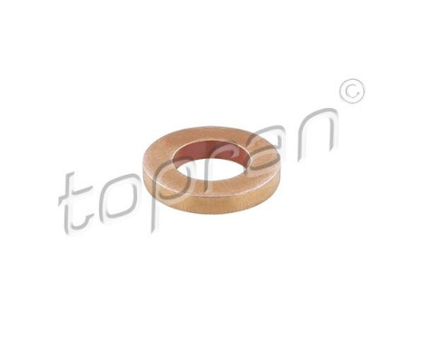 Anillo de sellado, inyector/boquilla