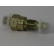 Inyector/atomizador DC8C45R2 Bosch, Miniatura 7