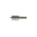 Nariz atomizadora H 105 025 304 Bosch