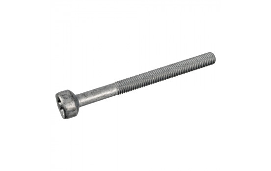 Tornillo, porta inyector 172930 FEBI