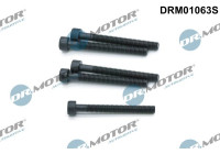 Tornillo, porta inyector