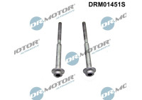 Tornillo, porta inyector