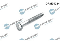 Tornillo, porta inyector