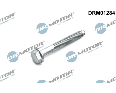 Tornillo, porta inyector