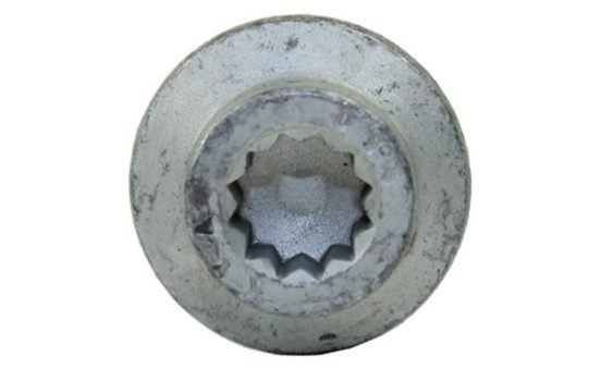 Tornillo, porta inyector, Imagen 2