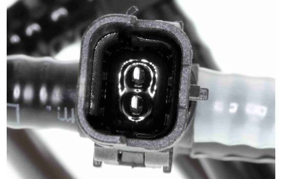 línea de combustible, Imagen 2