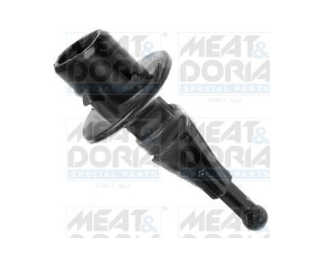 Sensor, temperatura del aire entrante