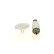 Unidad de suministro de combustible 1 987 580 055 Bosch, Miniatura 4