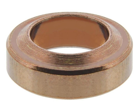 Anillo de sellado, inyector/boquilla