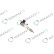 INYECTOR REMANUFACTURADO BOSCH 0445110835, Miniatura 5