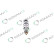 INYECTOR REMANUFACTURADO BOSCH 0445120098, Miniatura 5