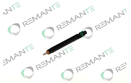 INYECTOR REMANUFACTURADO DELPHI R00101D, Imagen 6