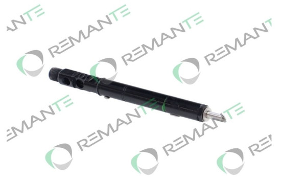 INYECTOR REMANUFACTURADO DELPHI R01001A, Imagen 4