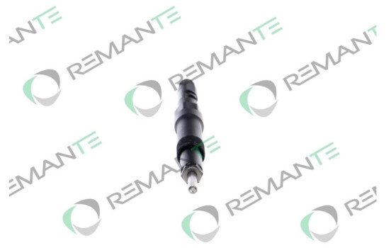 INYECTOR REMANUFACTURADO DELPHI R01001D, Imagen 5