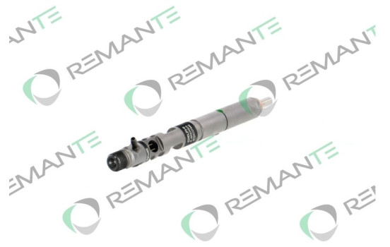 INYECTOR REMANUFACTURADO DELPHI R03901D, Imagen 3
