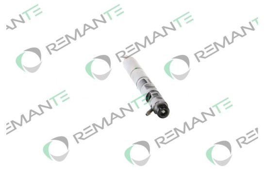INYECTOR REMANUFACTURADO DELPHI R05501D, Imagen 2