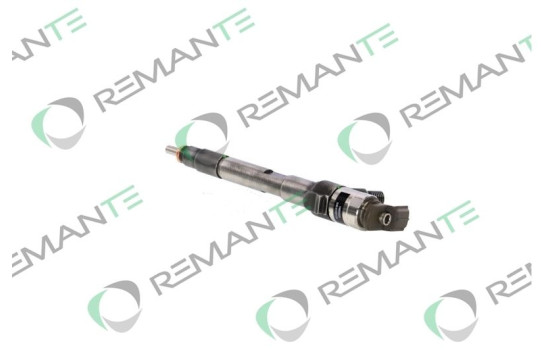 REMAN INJ CR DENSO 295050-0120