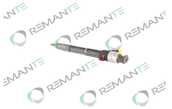 REMAN INJ CR DENSO 295050-0560