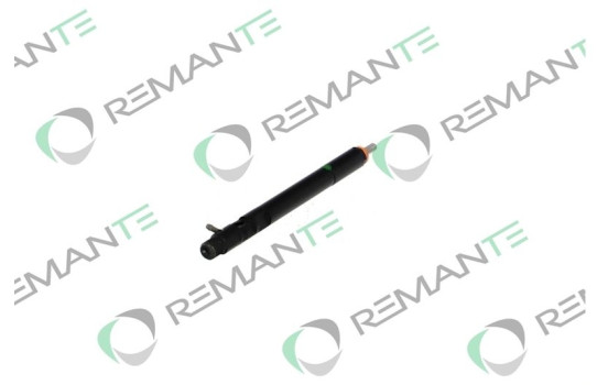 REMAN INY CR DELPHI EJBR02601z, Imagen 3