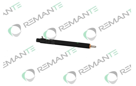 REMAN INY CR DELPHI EJBR02601z, Imagen 4