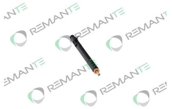 REMAN INY CR DELPHI EJBR02601z, Imagen 5