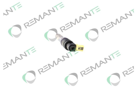 UNIDAD DE CONTROL DE ACCESO REMANUFACTURADA DELPHI BEBJ1A05002, Imagen 2