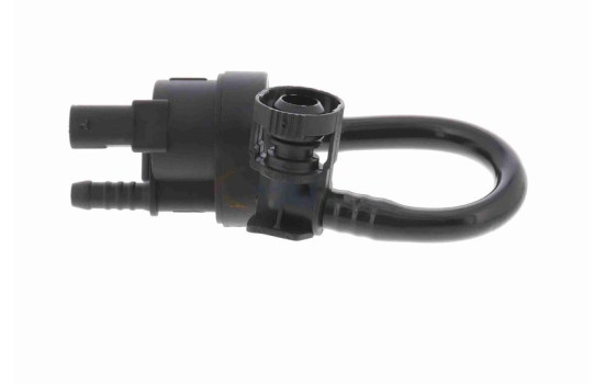 Válvula de ventilación/purga del tanque de combustible, Imagen 3