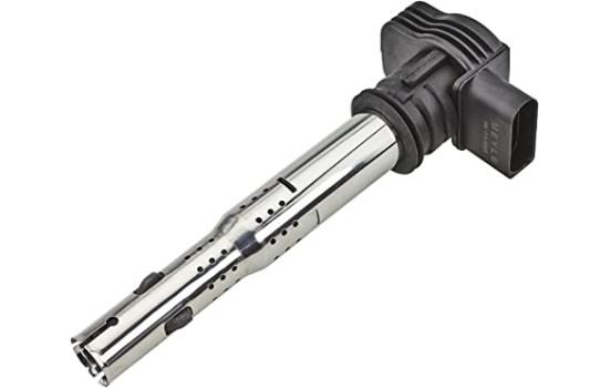 Bobina 100 905 0025 Meyle