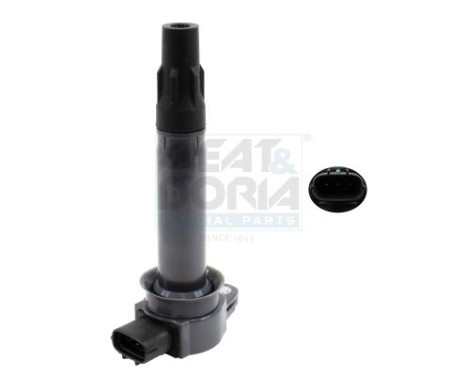 Bobina 10929 Meat & Doria