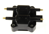 Bobina BAEQ039 Magneti Marelli