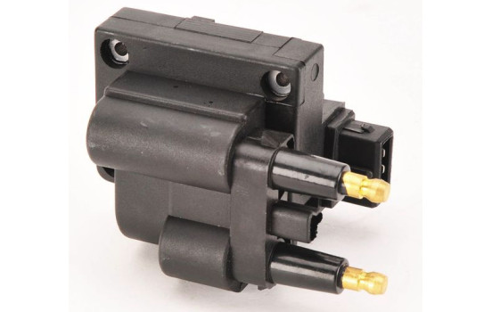 Bobina BAEQ073 Magneti Marelli