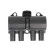Bobina CE10001-12B1 Delphi