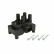 Bobina CE20044-12B1 Delphi