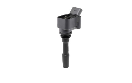Bobina de encendido ZSE236 Borgwarner Beru, Imagen 2