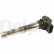 Bobina GN10195-12B1 Delphi