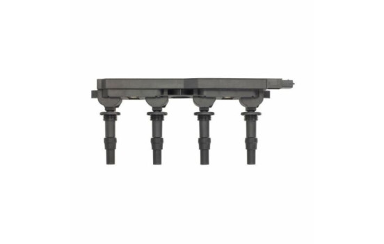 Bobina GN10198-12B1 Delphi