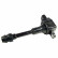 Bobina GN10219-12B1 Delphi