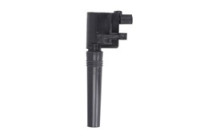 Bobina GN10227-12B1 Delphi