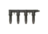 Bobina GN10234-12B1 Delphi