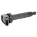Bobina GN10315-12B1 Delphi
