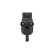 Bobina GN10356-12B1 Delphi