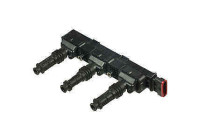 Bobina GN10362-12B1 Delphi