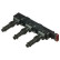 Bobina GN10362-12B1 Delphi