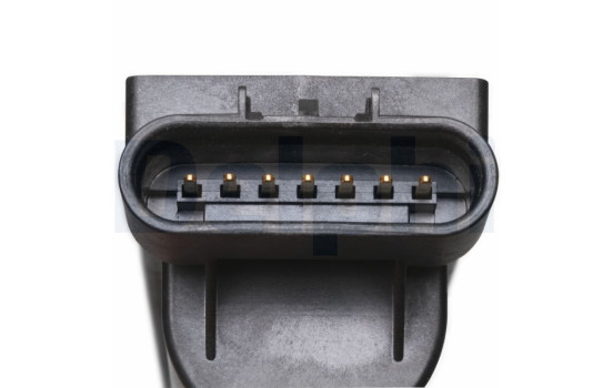 Bobina GN10401-12B1 Delphi, Imagen 7
