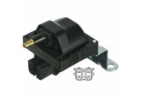 Bobina GN10481-12B1 Delphi
