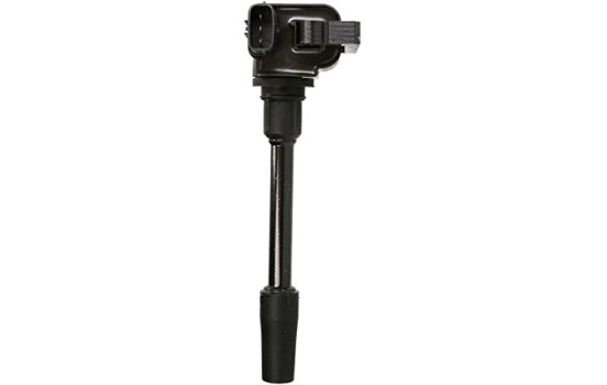 Bobina GN10493-12B1 Delphi
