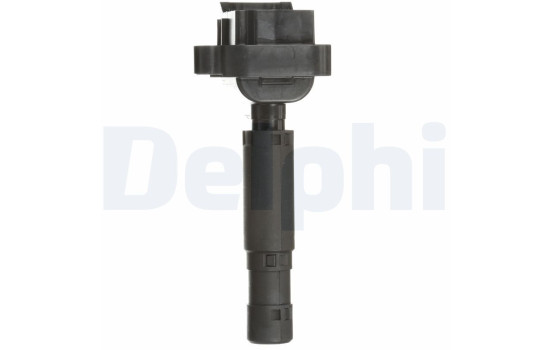 Bobina GN10552-12B1 Delphi, Imagen 10