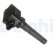Bobina GN10625-12B1 Delphi